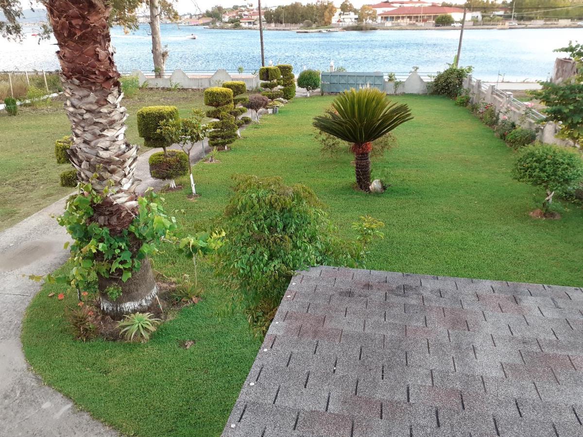 Top Floor On Villa, 3' From Center, By The Sea! Host Is Efi Kwsta 普雷韦扎 外观 照片