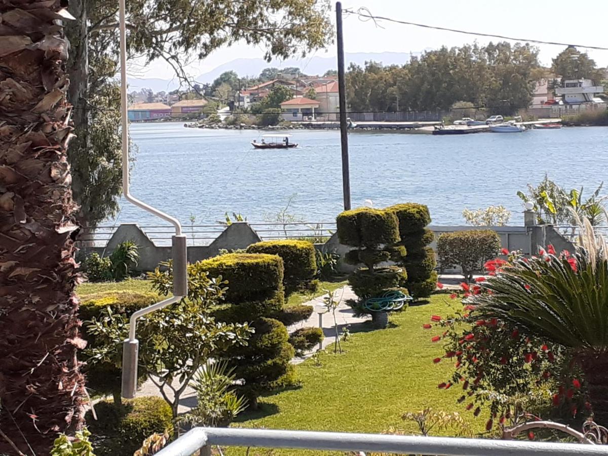 Top Floor On Villa, 3' From Center, By The Sea! Host Is Efi Kwsta 普雷韦扎 外观 照片