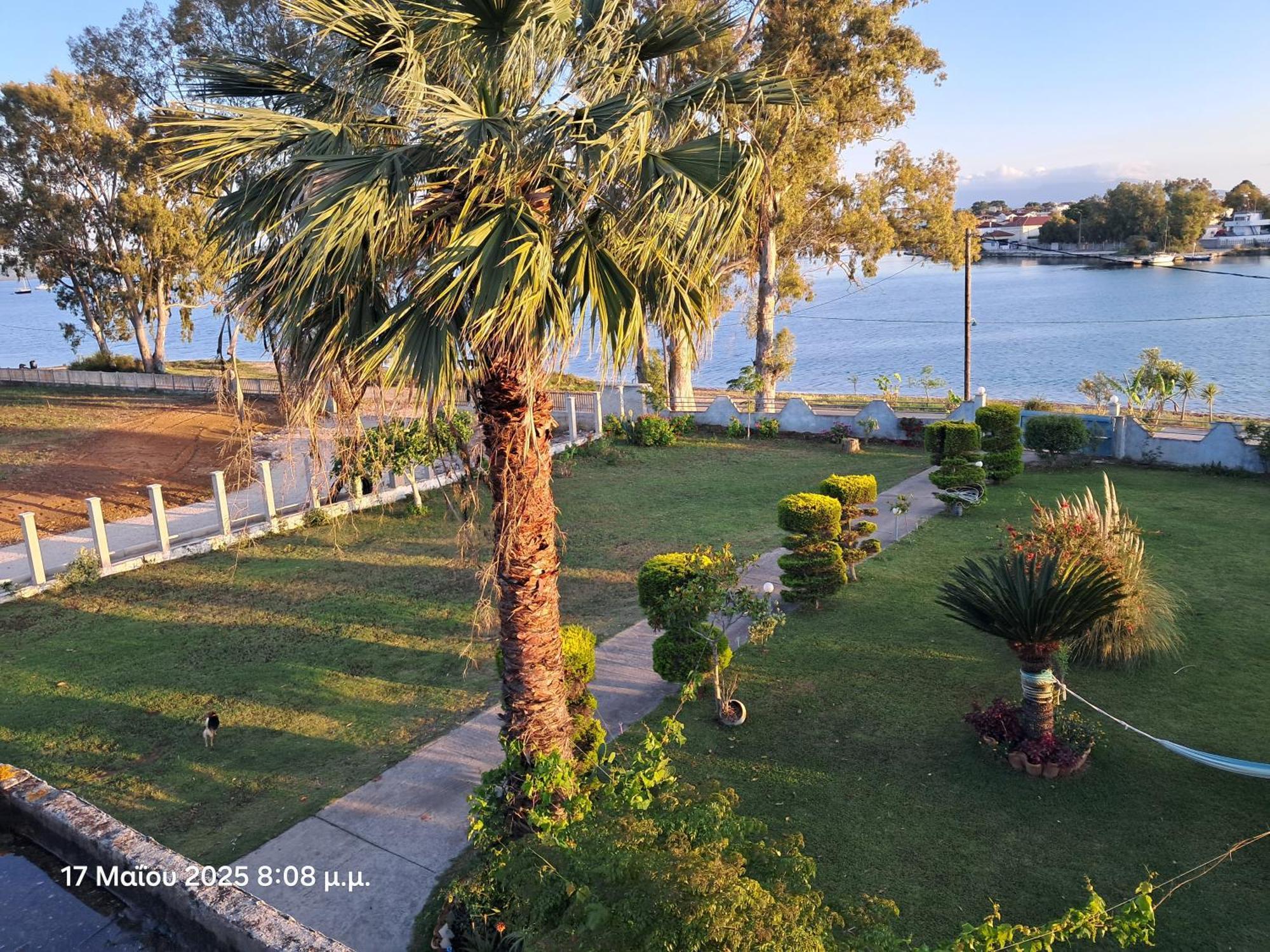 Top Floor On Villa, 3' From Center, By The Sea! Host Is Efi Kwsta 普雷韦扎 外观 照片